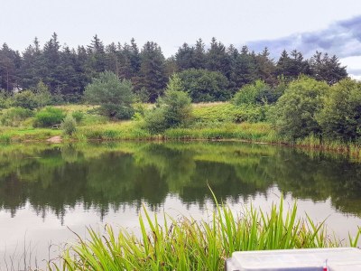 Holiday house Modern Cottage Oasis in Arrild - Outdoor photo 36