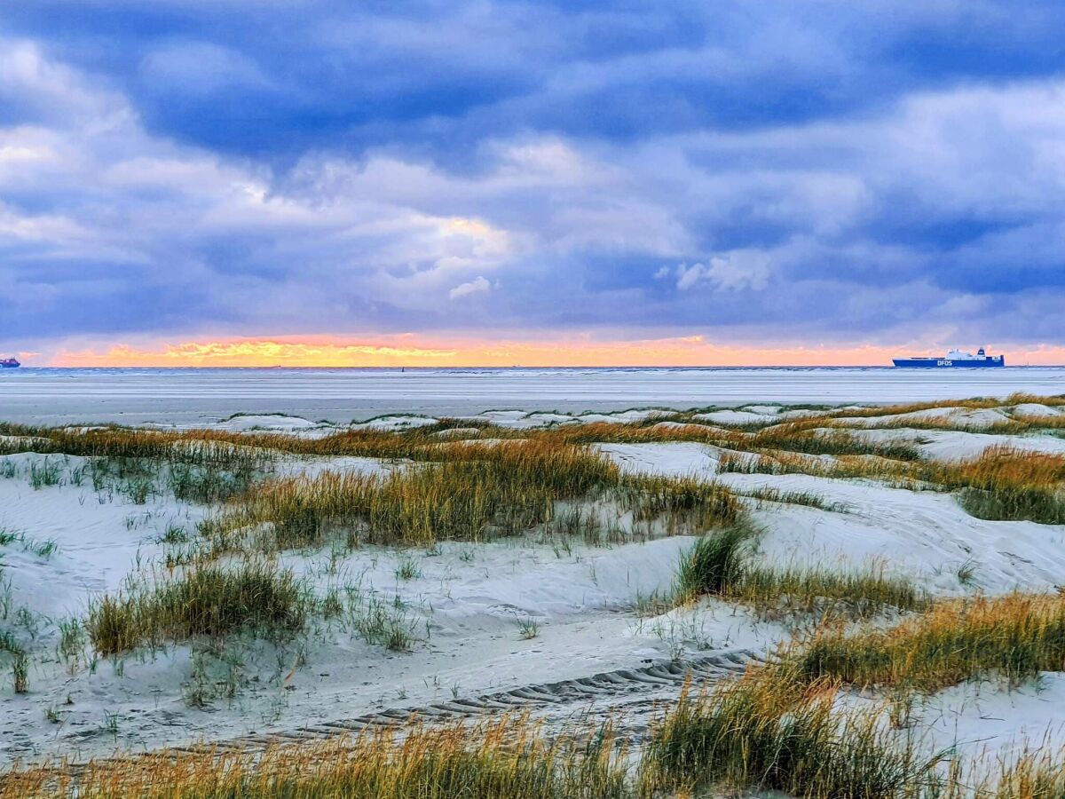 Holiday house 9 person holiday home in Rømø - Outdoor photo 3