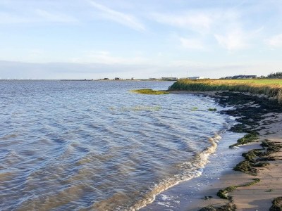 Holiday house 9 person holiday home in Rømø - Outdoor photo 21