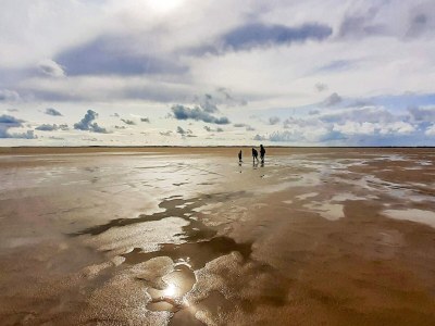 Holiday house 9 person holiday home in Rømø - Outdoor photo 41