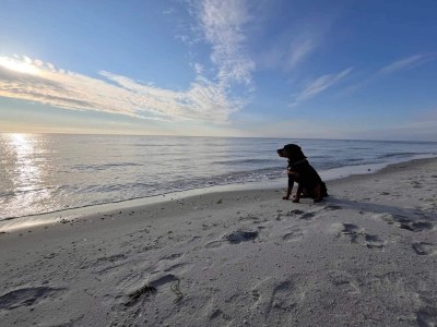 Holiday house Meeresruhe in Lyngsa-By Traum - Outdoor photo 6