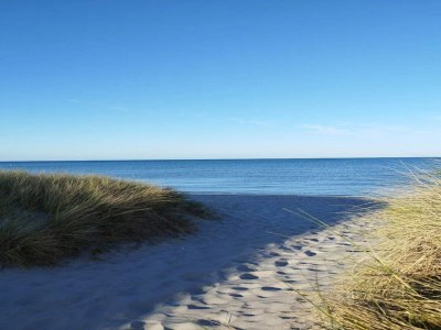 Holiday house Meeresruhe in Lyngsa-By Traum - Outdoor photo 8