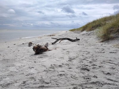 Holiday house Meeresruhe in Lyngsa-By Traum - Outdoor photo 20