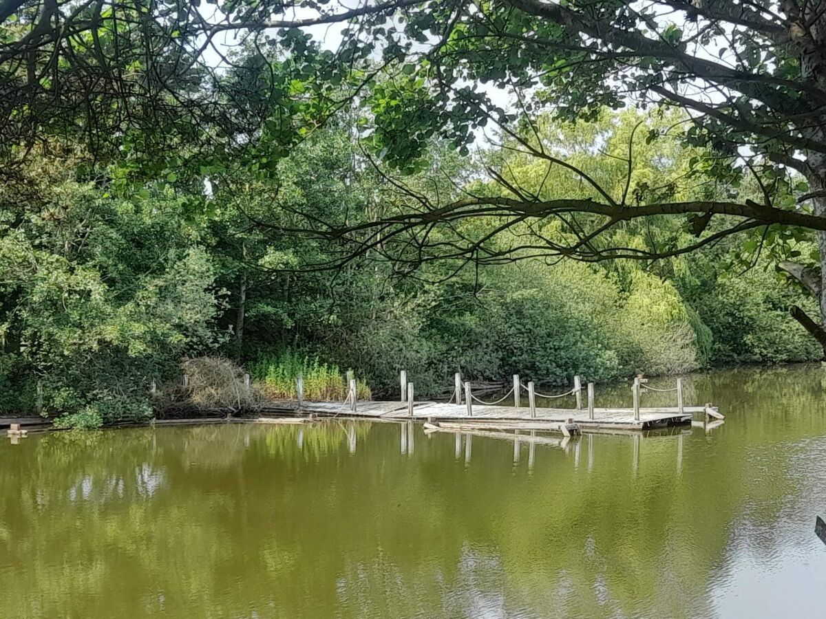 Holiday house Geraumiges Refugium in Marielyst-By Traum - Outdoor photo 5