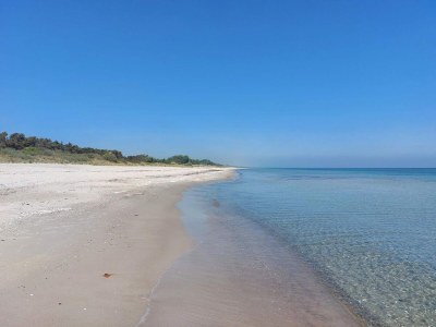 Holiday house Geraumiges Refugium in Marielyst-By Traum - Outdoor photo 4