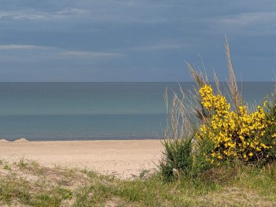 Holiday house Geraumiges Refugium in Marielyst-By Traum - Outdoor photo 6