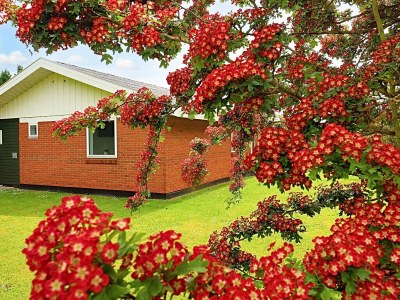 Holiday house Geraumiges Refugium in Marielyst-By Traum - Outdoor photo 17