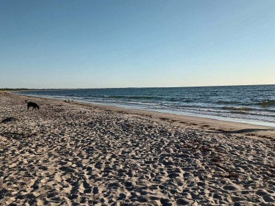 Holiday house Geraumiges Refugium in Marielyst-By Traum - Outdoor photo 34