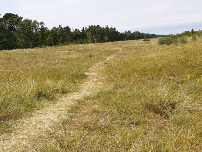 Holiday house Geraumiges Refugium in Marielyst-By Traum - Outdoor photo 40