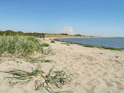 Holiday house 9 Personen Ferienhaus in Dannemare - Outdoor photo 15