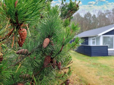 Holiday house Seaside Serenity in Hals-By Traum - Outdoor photo 3