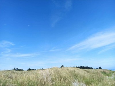Holiday house Seaside Serenity in Hals-By Traum - Outdoor photo 39