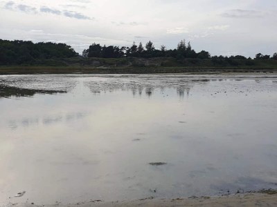 Apartment 6 Personen Ferienhaus in Hadsund - Outdoor photo 4