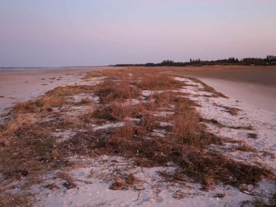 Apartment 6 Personen Ferienhaus in Hadsund - Outdoor photo 8