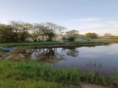 Holiday house Rustikales Refugium am Hemmet Strand-By Traum - Outdoor photo 7