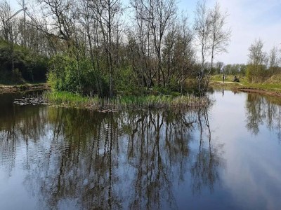 Holiday house Rustikales Refugium am Hemmet Strand-By Traum - Outdoor photo 28