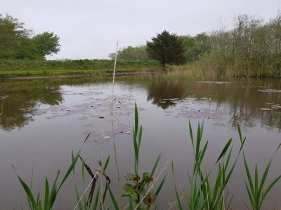 Holiday house Rustikales Refugium am Hemmet Strand-By Traum - Outdoor photo 29