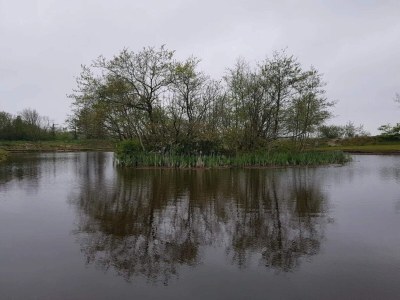 Holiday house Rustikales Refugium am Hemmet Strand-By Traum - Outdoor photo 30