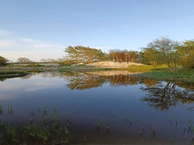 Holiday house Rustikales Refugium am Hemmet Strand-By Traum - Outdoor photo 32