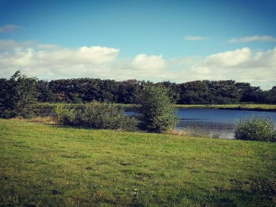 Holiday house Rustikales Refugium am Hemmet Strand-By Traum - Outdoor photo 34