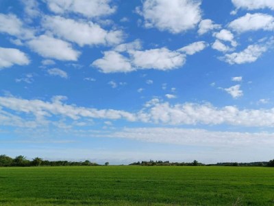Holiday house Rustikales Refugium am Hemmet Strand-By Traum - Outdoor photo 35