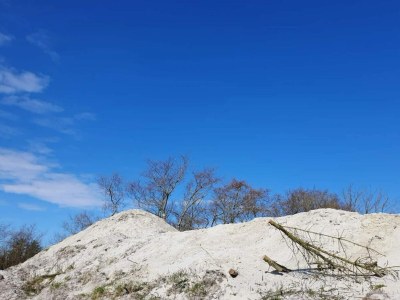 Holiday house Rustikales Refugium am Hemmet Strand-By Traum - Outdoor photo 36