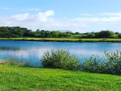 Holiday house Rustikales Refugium am Hemmet Strand-By Traum - Outdoor photo 37