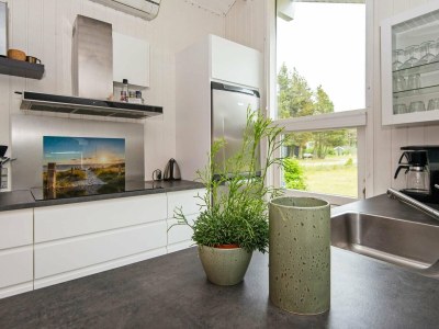 Holiday house 6 Personen Ferienhaus in Brovst - Outdoor photo 15