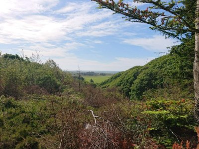 Holiday house 6 Personen Ferienhaus in Brovst - Outdoor photo 20