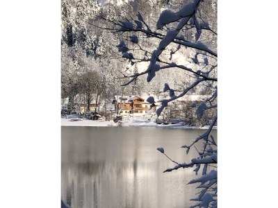 Holiday apartment Feichtenstein - Haus Hirschpoint - Outdoor photo 12