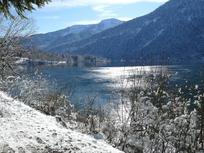 Holiday apartment Feichtenstein - Haus Hirschpoint - Outdoor photo 13