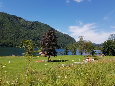 Holiday apartment Feichtenstein - Haus Hirschpoint - Environment photo 31