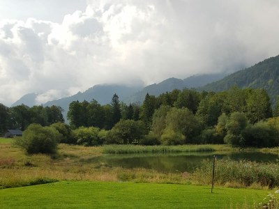 Holiday apartment Feichtenstein - Haus Hirschpoint - Environment photo 33