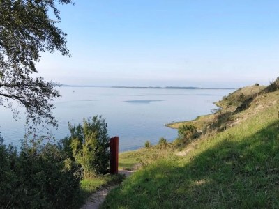 Holiday house 7 Personen Ferienhaus in Kirke Hyllinge-By Traum - Outdoor photo 11