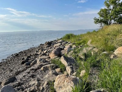 Holiday house 7 Personen Ferienhaus in Kirke Hyllinge-By Traum - Outdoor photo 15