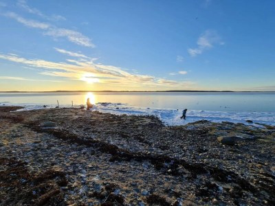 Holiday house 7 Personen Ferienhaus in Kirke Hyllinge-By Traum - Outdoor photo 38