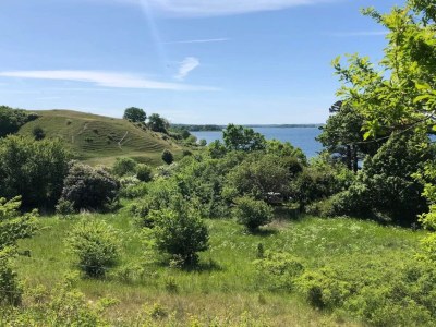 Holiday house 7 Personen Ferienhaus in Kirke Hyllinge-By Traum - Outdoor photo 39