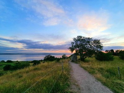 Holiday house 7 Personen Ferienhaus in Kirke Hyllinge-By Traum - Outdoor photo 42