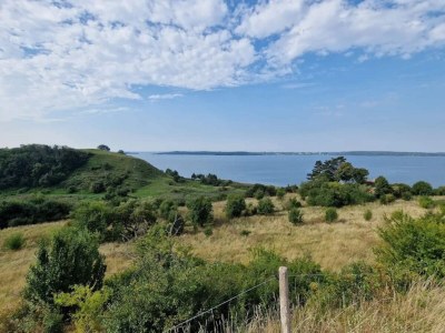 Holiday house 7 Personen Ferienhaus in Kirke Hyllinge-By Traum - Outdoor photo 46