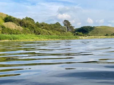 Holiday house 7 Personen Ferienhaus in Kirke Hyllinge-By Traum - Outdoor photo 47