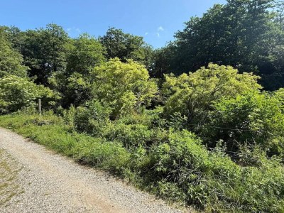 Holiday house 7 Personen Ferienhaus in Kirke Hyllinge-By Traum - Outdoor photo 54