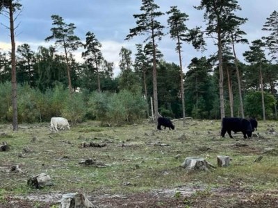 Holiday house Luxury Retreat with Spa - By Traum Ferienwohnungen - Outdoor photo 5