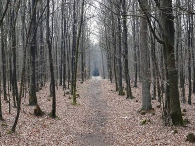 Holiday house Luxury Retreat with Spa - By Traum Ferienwohnungen - Outdoor photo 6