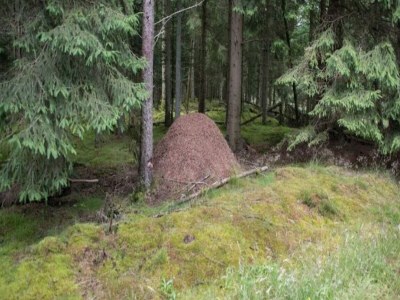 Holiday house Luxury Retreat with Spa - By Traum Ferienwohnungen - Outdoor photo 7