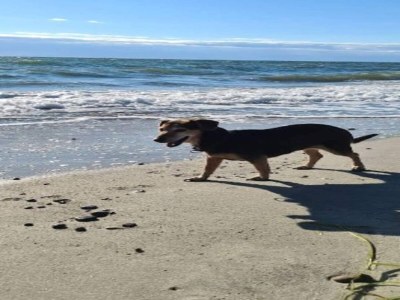 Holiday house Luxury Retreat with Spa - By Traum Ferienwohnungen - Outdoor photo 21