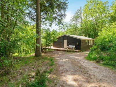 Holiday house 5 Personen Ferienhaus in Ans By-By Traum - Outdoor photo 27