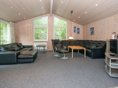 Holiday house 20 Personen Ferienhaus in Herning-By Traum - Outdoor photo 14
