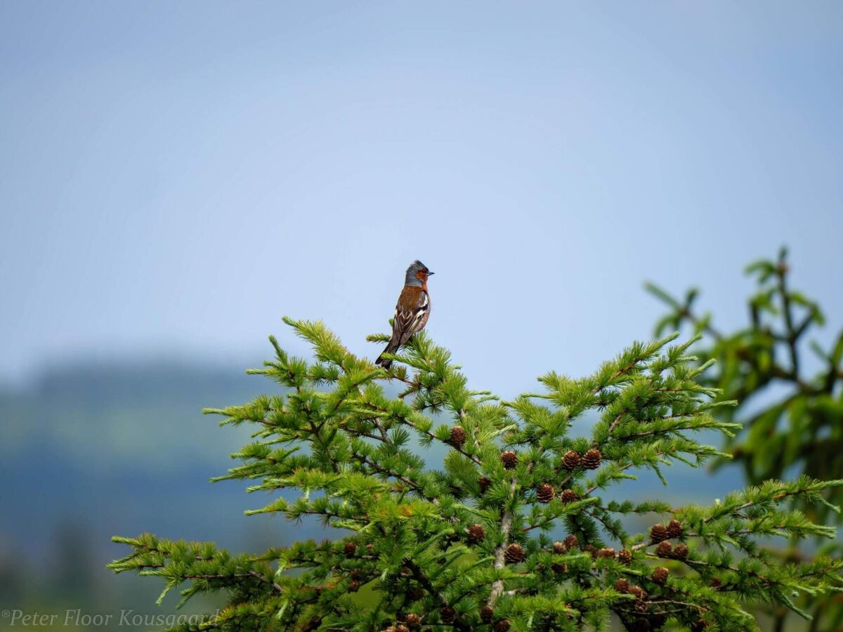 Holiday house 5 Personen Ferienhaus in Hovborg-By Traum - Outdoor photo 5
