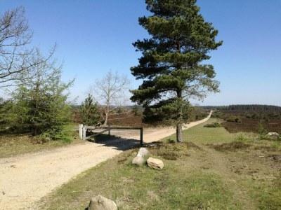 Holiday house 5 Personen Ferienhaus in Hovborg-By Traum - Outdoor photo 6