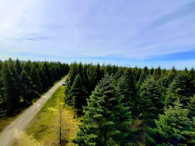 Holiday house 5 Personen Ferienhaus in Hovborg-By Traum - Outdoor photo 13